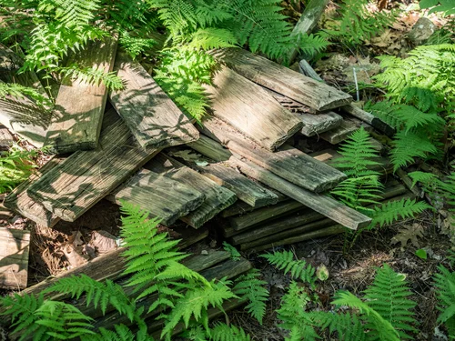 Brighter, more cheerful edit