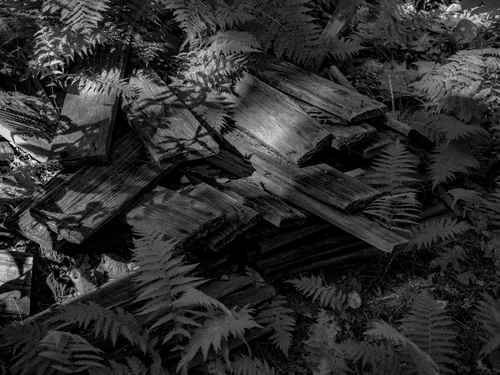 Black and white, dramatic