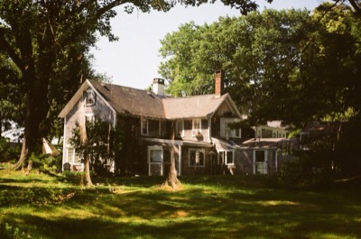 Film photograph from the Bog