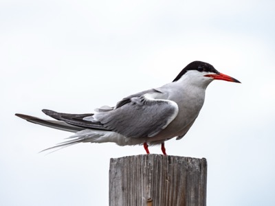 Casual photograph from the Harbor