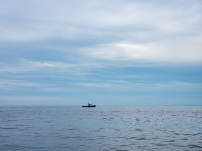 Casual photograph from the Harbor