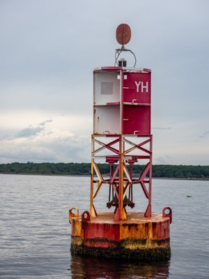 Casual photograph from the Harbor