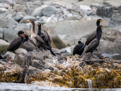 Casual photograph from the Harbor